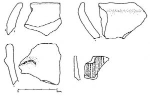 Sídliskové nálezy z doby laténskej v Lietavskej Lúčke