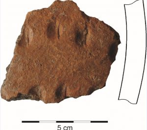 Obr. 3 Črep s nechtovými vrypmi