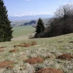 Ako nám krtkovia pomohli nájsť nové púchovské sídlisko v Partizánskej Ľupči