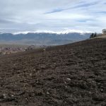 Archeologický prieskum pod Rohačkou