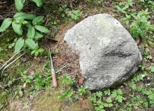 Veľk&yacute; okruhliak z Dem&auml;novskej hory