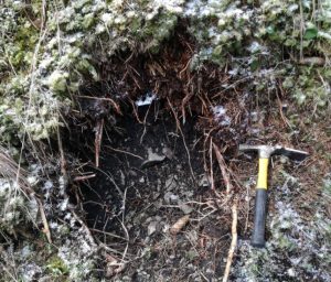 Neleg&aacute;lny v&yacute;kop na svahu Dem&auml;novskej hory v roku 2020