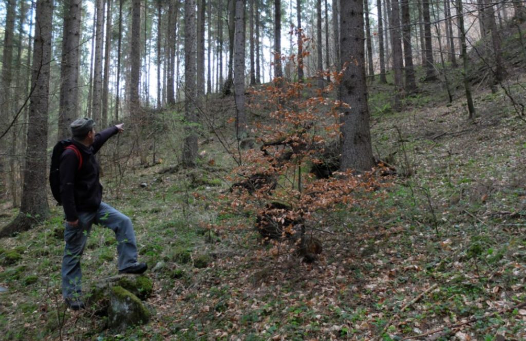 Obr. 1 Nálezca ukazuje miesto nálezu depotu (foto: M. Furman).