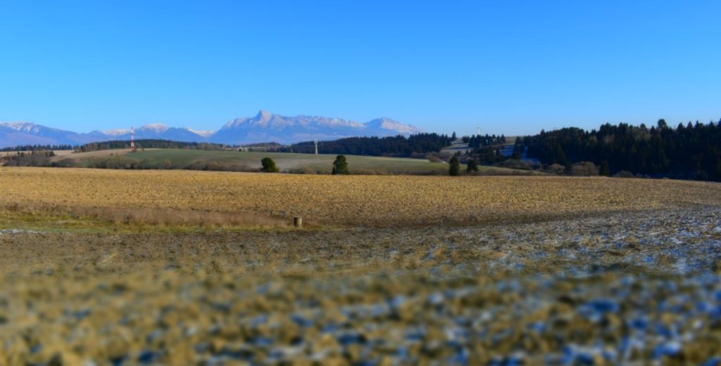 Obr. 2 Pohľad z archeologického náleziska na severovýchod (foto: M. Furman).