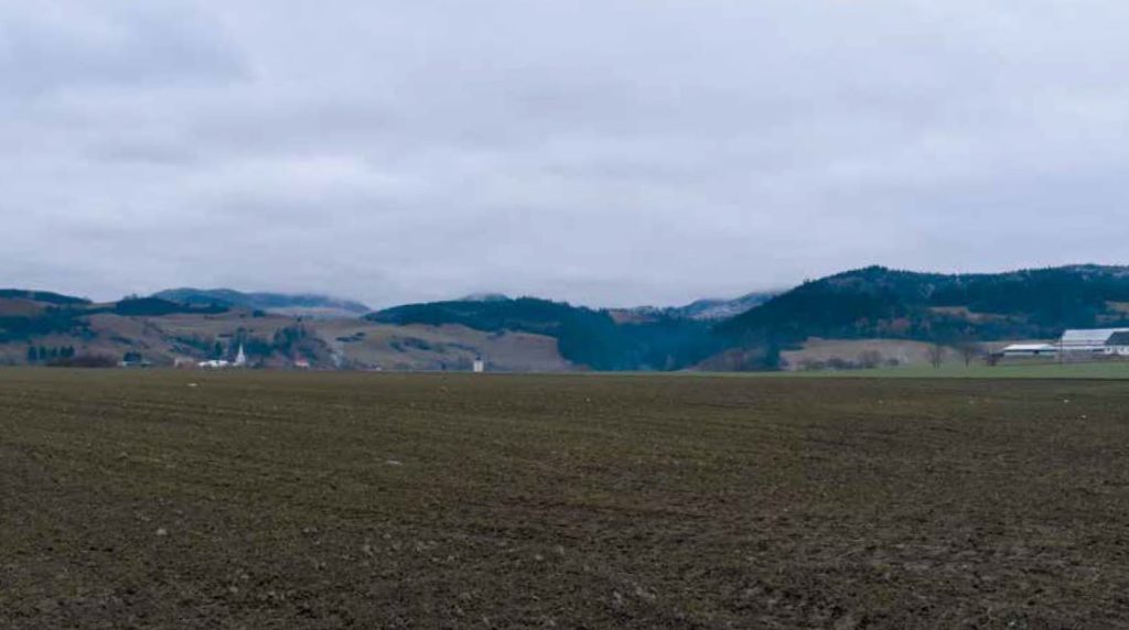 Obr. 1 Pohľad na severozápad na územie prieskumu s doloženými pravekými a stredovekými črepmi (foto: M. Furman).